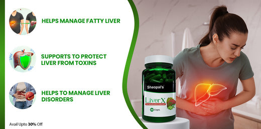 Ayurvedic Medicine For Fatty Liver: Key Symptoms And Effective Treatments