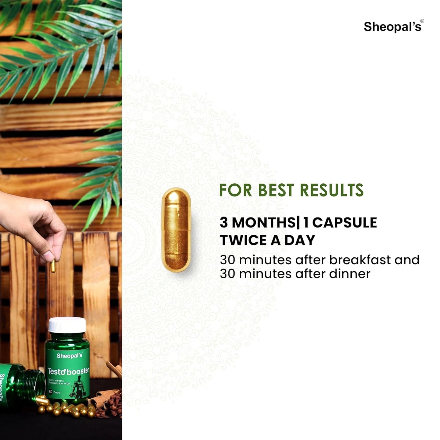 Testo Booster Capsule: Best Ayurvedic Medicine to Boost Immunity & Energy