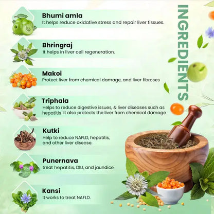 ayurvedic medicine for liver