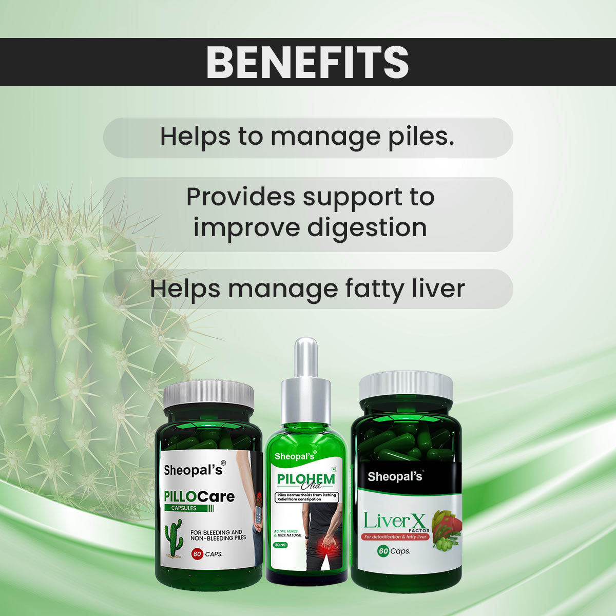 Pillocare Capsule + Pilohem Oil & Liver x to manage piles & liver health