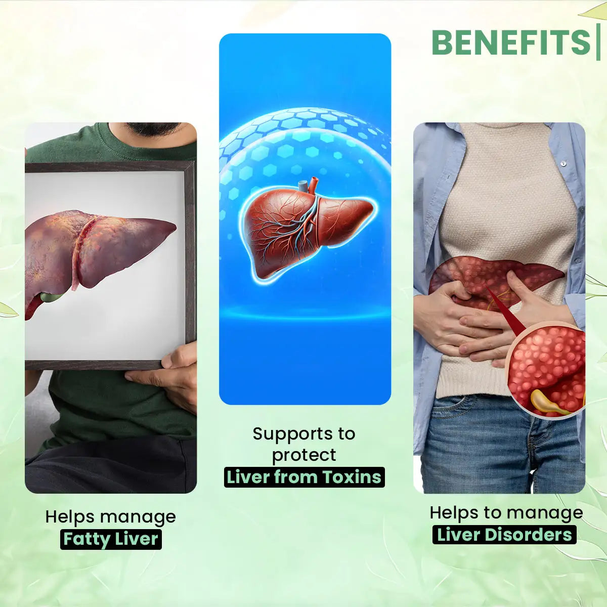 Fatty Liver Capsule