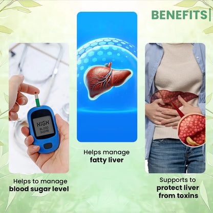 Diabdex & LiverX Factor Capsule Combo: A Dual Solution for Diabetes and Liver Health